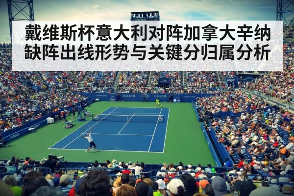 tennis stadium crowd atmosphere
